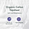 Rael Organic Disposable Period Underwear - L/XL - 5ct - 4 of 4