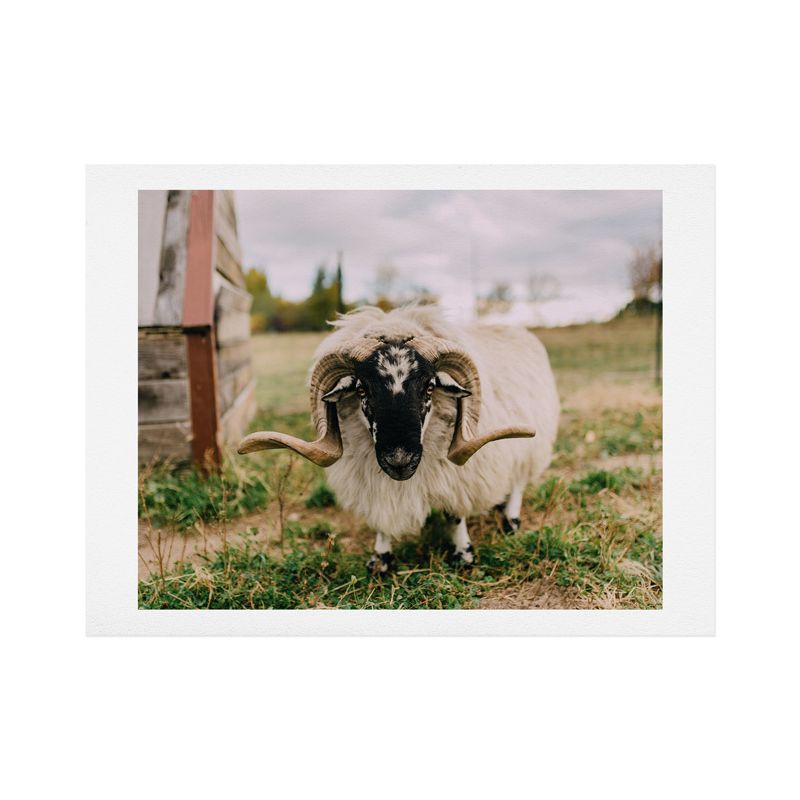 8"x10" Chelsea Victoria The Curious Sheep Art Print Unframed Wall Poster Green - Deny Designs, 1 of 4