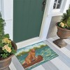 Liora Manne Esencia Coastal Indoor/Outdoor Mat.. - 2 of 4