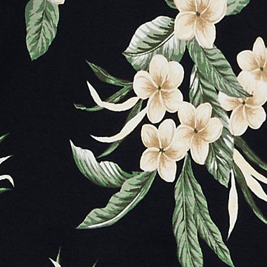 black plumeria