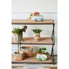 Okak Cement Planters Pot Set of 2，Plant Pots with Black Chevron Patterns, Flower Pots for Indoor Outdoor Plants - 3 of 4