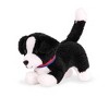 Stuffed Border Collie – The AHA Store