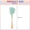 Unique Bargains Decorative Natural Dried Floral Bunny Tail Artificial Plants 120 Pcs - 2 of 4