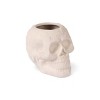 Terracotta Skull Vessels White - Bullseye's Playground™ - 2 of 3