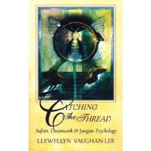 Catching the Thread - by  Llewellyn Vaughan-Lee (Paperback) - 1 of 1