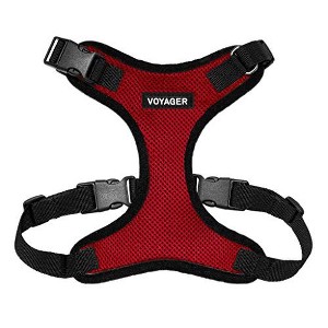 Voyager Step-In Lock Adjustable Dog & Cat Harness for All Breeds, Breathable Mesh, Red Base, L - 1 of 4