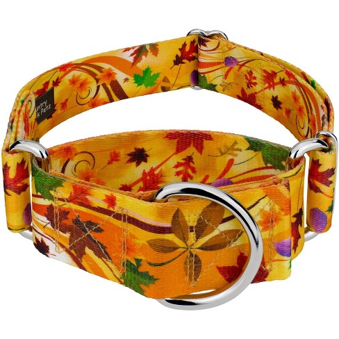 Country Brook Petz® Deluxe Fall Foliage Dog Collar- Made In The U.s.a.,  Medium : Target