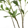 TopComfy Artificial Trees 210cm Artificial Pieris Tree Large Fake Pieris Tree Lifelike Branches Faux Pieris Tree for Indoor, Green, 39.4"*39.4"*82.7" - 3 of 4