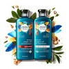 Herbal Essences Bio:Renew Argan Oil of Morocco Repairing Color-Safe Conditioner - 13.5 fl oz - image 4 of 4