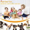 Large Squeaky Dog Toys- Plush Dog Toys with Soft Fabric - 3 of 3