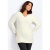 Avenue Women's Plus Size Embellished V-Neck Tunic - 3 of 3