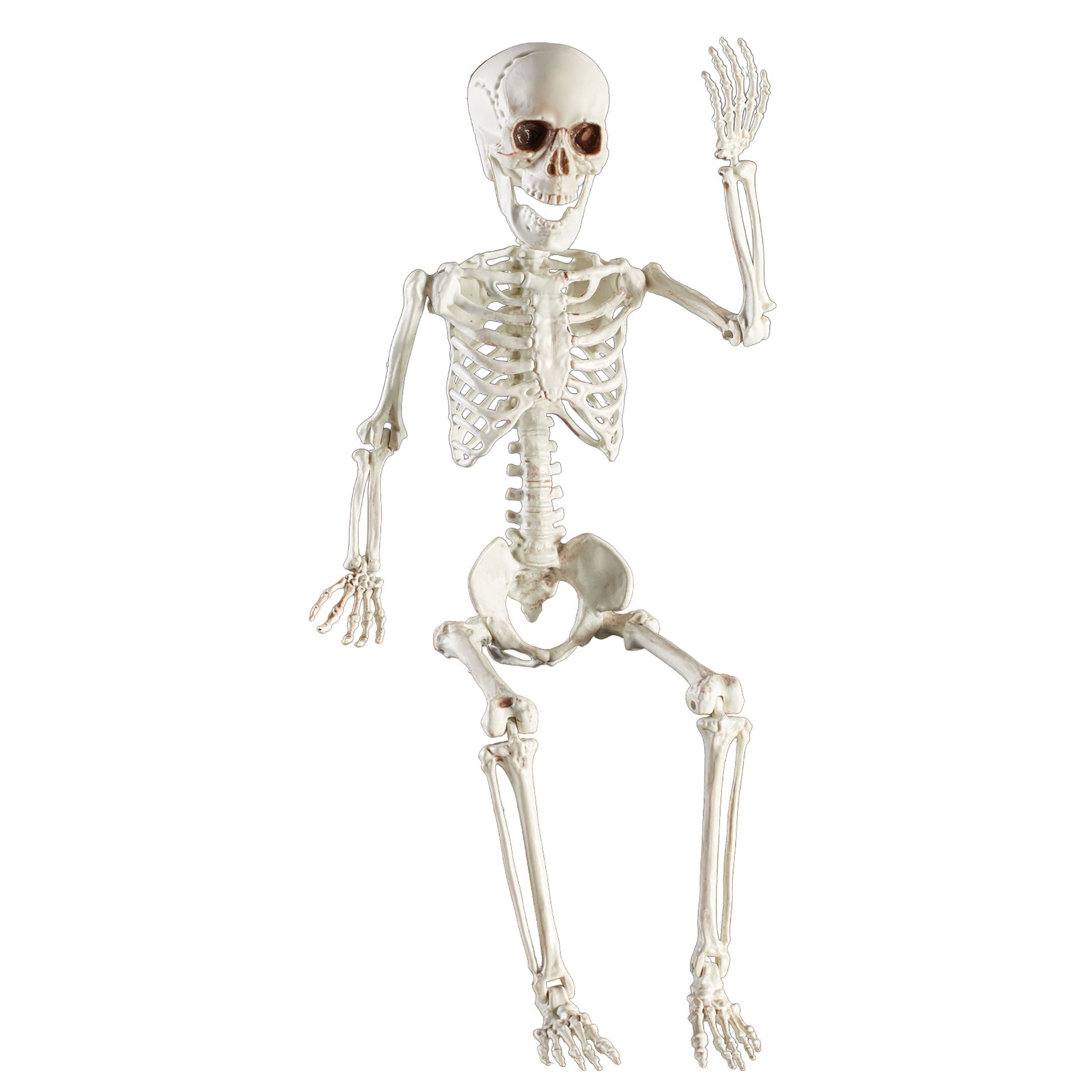 Collections Etc 2-Foot Posable Skeleton Halloween Decoration