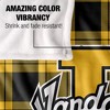 University Of Idaho Campus Plaid Spirit Silky Touch Super Soft Throw Blanket 50x60 - 4 of 4