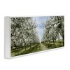 Stupell Industries Blooming White Tree Orchard Framed Giclee Art, White, 30" x 13" - 2 of 4