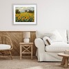 Stupell Industries Sunflower Farm Floral Field Framed Print Under Glass Art - 3 of 4