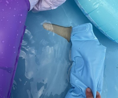 Guest review image 2 of 2, zoom in