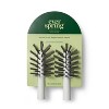 Palm Brush Replacement Head - 2ct - Everspring™ : Target