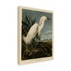 Trademark Fine Art -John James Audubon 'Snowy Heron' Canvas Art - 4 of 4