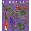 Women's Harry Potter Hogwarts Herbology Racerback Tank Top - 2 of 4