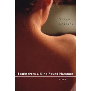 Sparks from a Nine-Pound Hammer - (Southern Messenger Poets) by  Steve Scafidi (Paperback) - 1 of 1