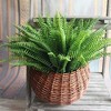 Multi-Scene Green Decoration, Artificial Plant for Wedding Office Cafe and Home Garden Decor - 2 of 3