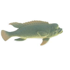 Collectible Wildlife Gifts | Asian Sheepshead , Kobudai, Japan, Saltwater, Rubber Fish, Realistic, Model,  Toy, Gift,   4 1/2"   F0415  B378 - 1 of 4
