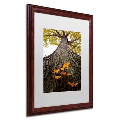 Trademark Fine Art -Kurt Shaffer 'Aspiring to New Heights' Matted Framed Art