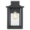 Wakefield 1-Light Outdoor Wall Lantern - 4 of 4