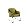 Odile Metal Frame Accent Chair - Adore Décor - 2 of 4