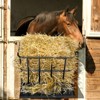 BENCMATE Pet Bowl Heavy Duty Wall Mounted Hay Feeder, Large Capacity Livestock Feeding Rack for Horses, Goats and Sheep, Black, 24.41"*23.62"*6.3" - 4 of 4