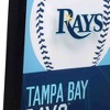 MLB Tampa Bay Rays Baseball Logo Glass Framed Panel