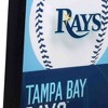 Mlb Tampa Bay Rays Baseball Logo Glass Framed Panel : Target