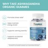 Himalaya Ashwagandha Organic Gummies, KSM-66 Organic Ashwagandha to Help with Stress Relief, 56 Gummies with Delicious BlackBerry Flavor - 4 of 4