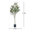 SKRAN Artificial Olive Tree Indoor with Realistic Leaves Fruits,Fake Olive Trees Potted Topiary with Dried Moss for Home,Office,Living Room - 3 of 4