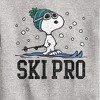 Boys' - Peanuts - Snoopy Ski Pro Graphic Long Sleeve Fleece Sweatshirt - 2 of 4