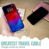Smartish 2 in 1 USB C to USB C/Lightning Cable - Crown Joule - 6 Ft Fast Charger - 3 of 4