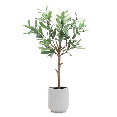 Melrose Potted Olive Leaf 21.5"H