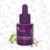 SpaRoom Chamomile Essential Oil 7.4ml - 4 of 4