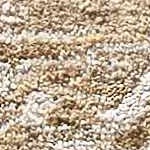 cream, tan, light brown