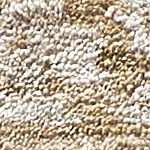 cream, tan, light brown