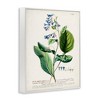 Stupell Industries Botanical Blue Flowers Vintage Design Framed Giclee Art - 2 of 4