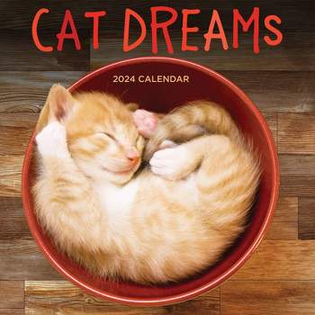 TF Publishing 2024 Wall Calendar 12"x12" Cat Dreams
