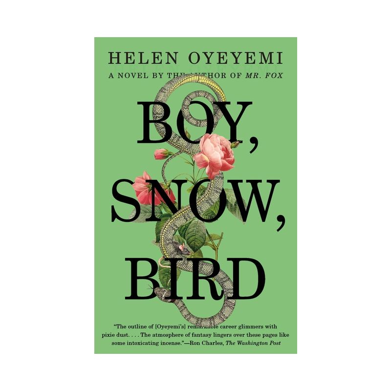 Boy, Snow, Bird - by  Helen Oyeyemi (Paperback), 1 of 2