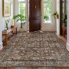 Acekool 10x13 Washable Area Rug, Non Slip Boho Vintage Floral Low Pile Large Carpet for Living Room Bedroom Office, Black Brown - 2 of 4