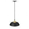 Millennium Lighting Arlo 1 - Light Pendant in  Matte Black - 3 of 3
