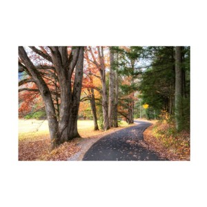 Trademark Fine Art - Danny Head  Autumn Drive I Canvas Art - 1 of 4