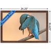 Trends International The Comedy Wildlife Photography Awards: Antonio Medina - Ashamed Framed Wall Poster Prints - 3 of 4
