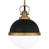 Quoizel Lighting Sullivan 1 - Light Pendant in  Matte Black - 3 of 4