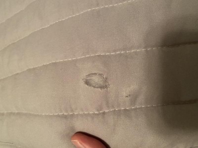Guest review image 1 of 1, zoom in