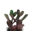 Unique Bargains Artificial Plants Ceramic Pot Plastic 2.01"x2.01"x2.95" 1 Pc - 4 of 4